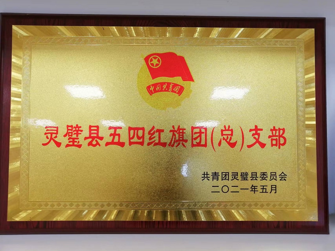 五四红旗团总支部.jpg